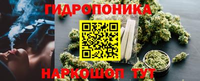 стафф Партизанск