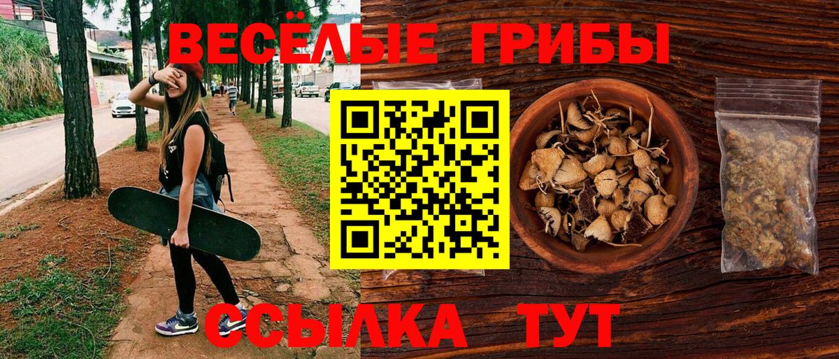 Галлюциногенные грибы MAGIC MUSHROOMS Ревда